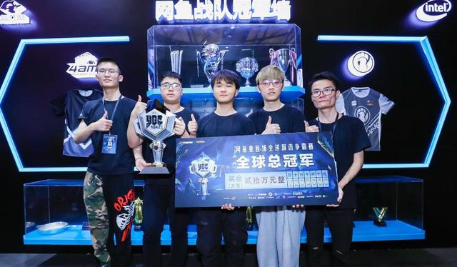 布局和坚韧 布局和坚韧